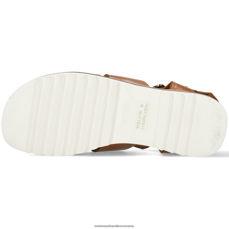 bărbați Melvin & Hamilton sam 29 maro sandale 2R24J4764